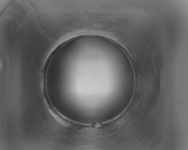 X0000073481511200608071007