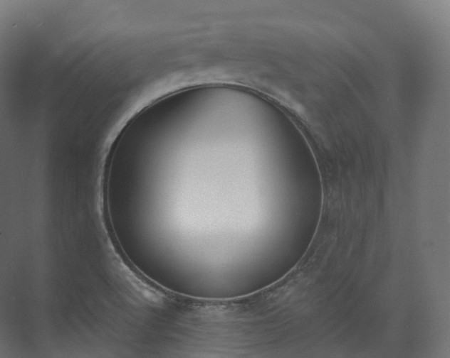 X0000073481512200608071007