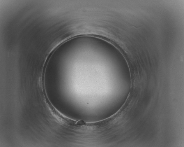 X0000073481513200608071007