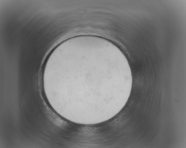 X0000073481514200608071007