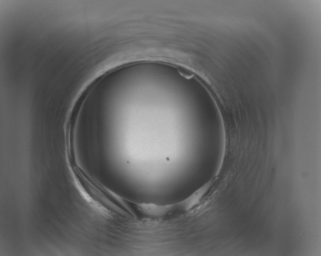 X0000073481515200608071007