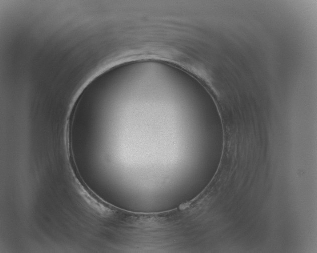 X0000073481516200608071007