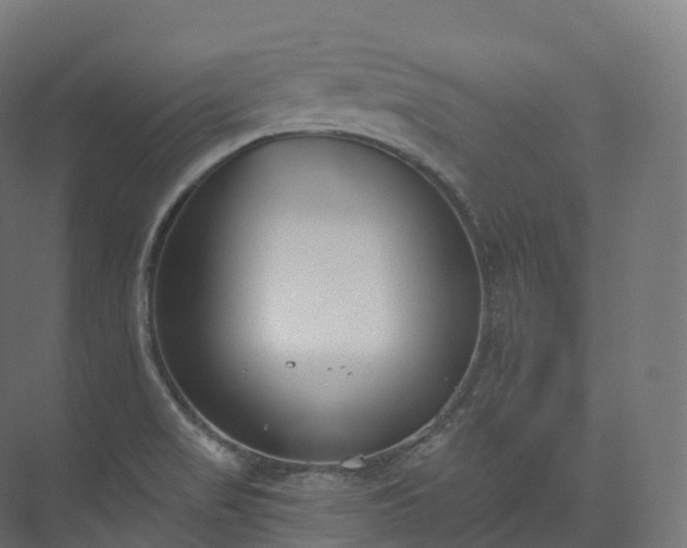 X0000073481517200608071007