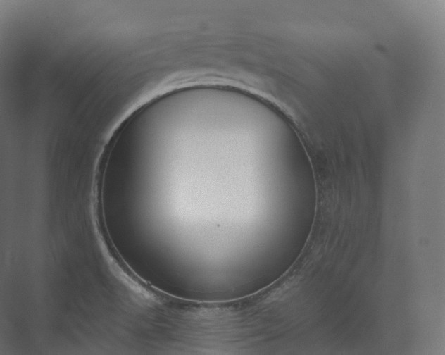 X0000073481518200608071007