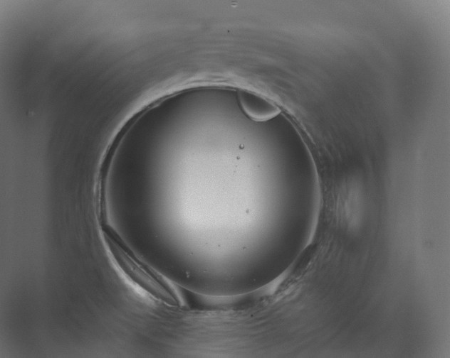 X0000073481519200608071007