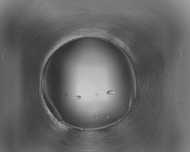 X0000073481520200608071007