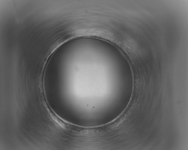 X0000073481521200608071007