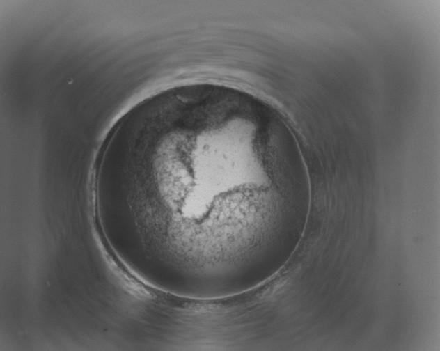 X0000073481522200608071007