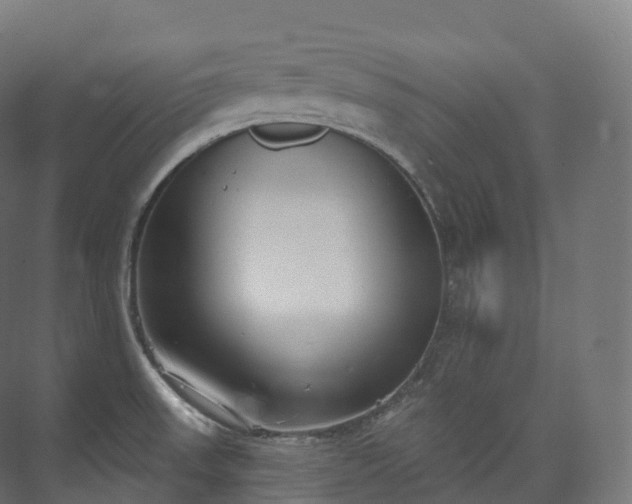 X0000073481523200608071007