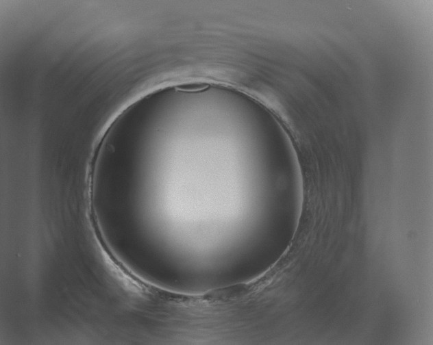 X0000073481524200608071007