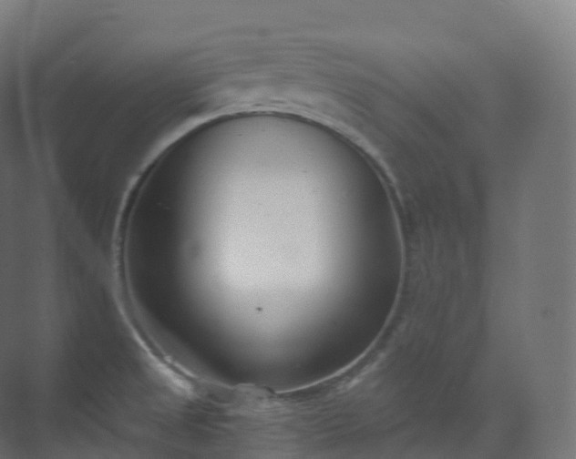 X0000073481525200608071007