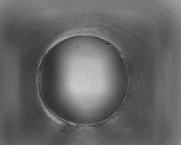 X0000073481526200608071007