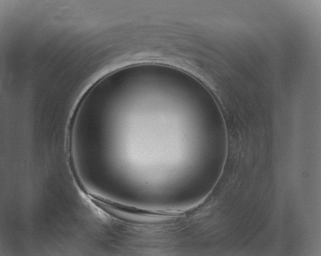 X0000073481527200608071007