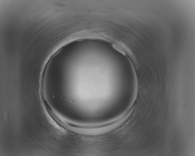 X0000073481528200608071007