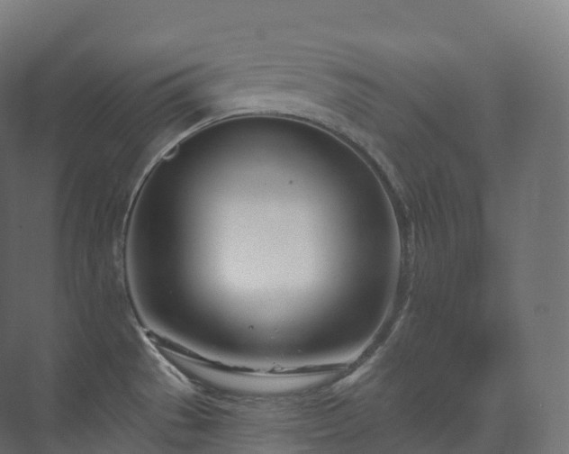 X0000073481529200608071007