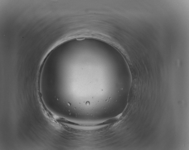 X0000073481530200608071007