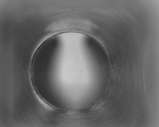 X0000073481531200608071007