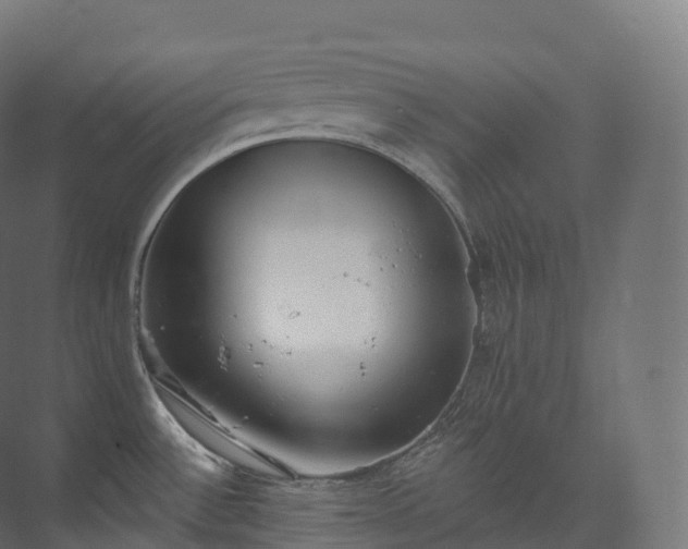 X0000073481532200608071007