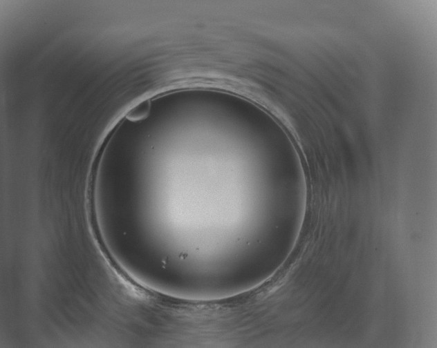 X0000073481533200608071008