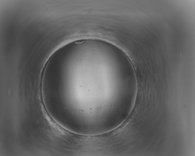 X0000073481534200608071008