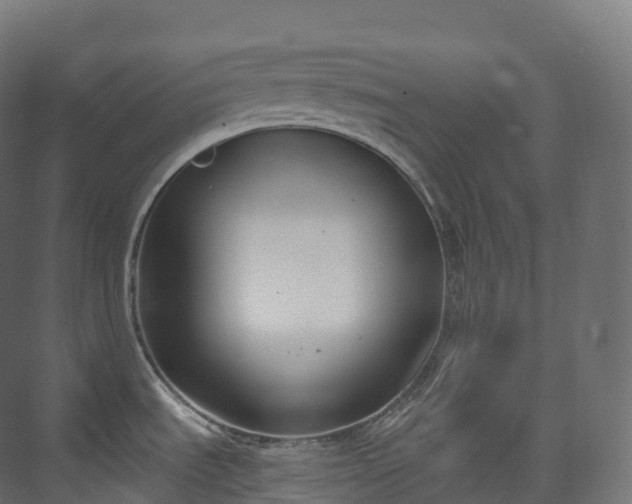 X0000073481535200608071008