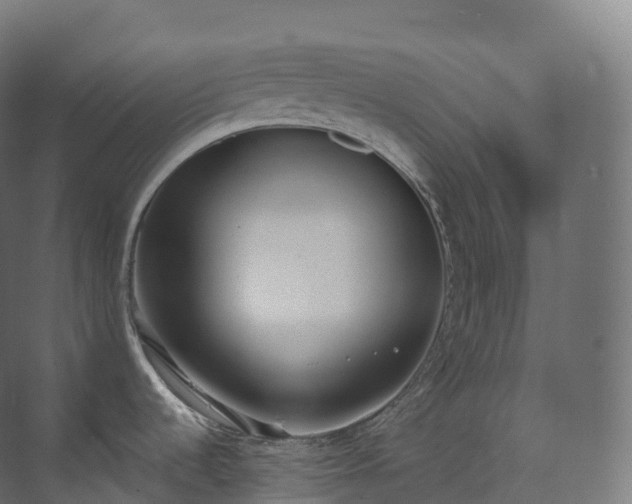 X0000073481536200608071008