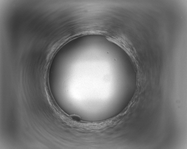 X0000073480001200608140828