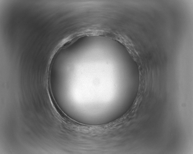 X0000073480003200608140828