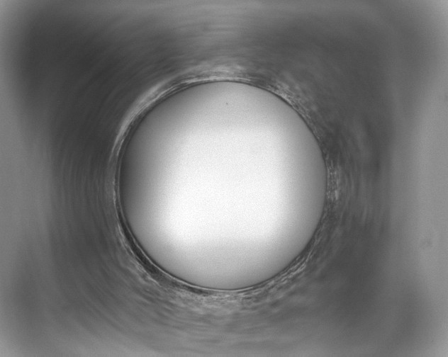 X0000073480004200608140828