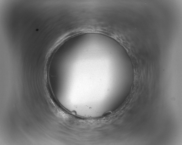 X0000073480005200608140828