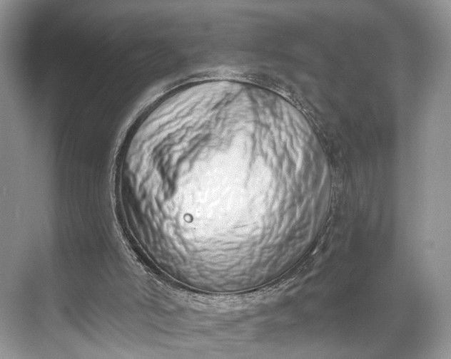 X0000073480006200608140828