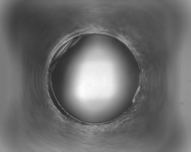 X0000073480007200608140828