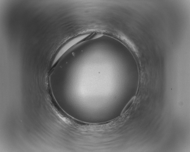 X0000073480009200608140828