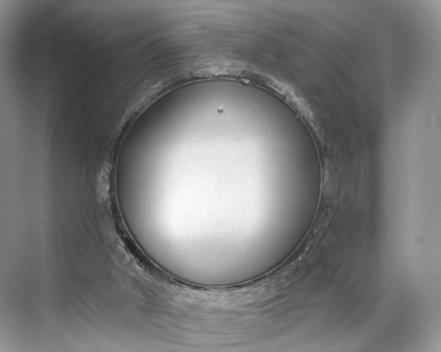 X0000073480010200608140828