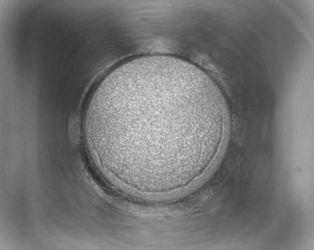 X0000073480012200608140828