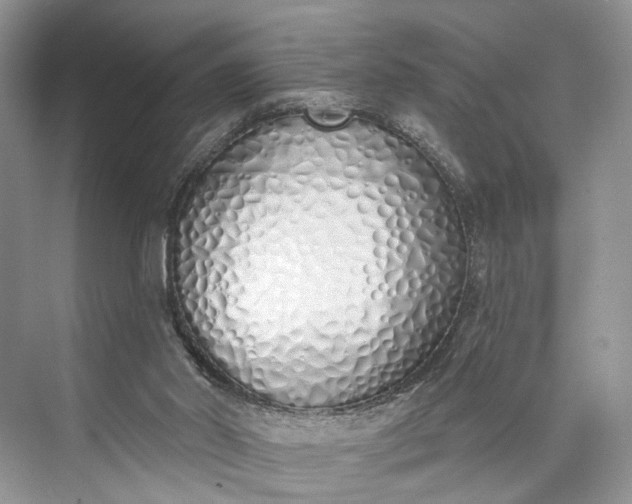 X0000073480014200608140828