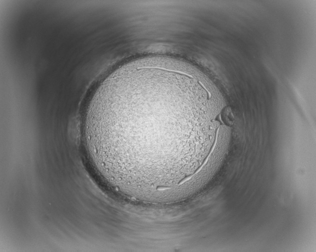 X0000073480016200608140828