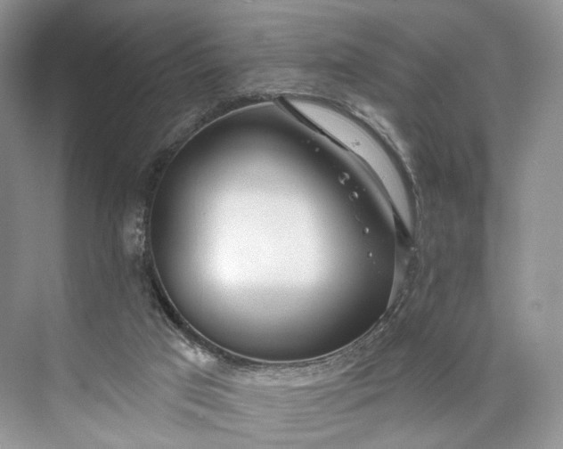 X0000073480017200608140828