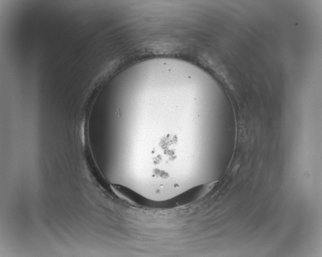 X0000073480019200608140828