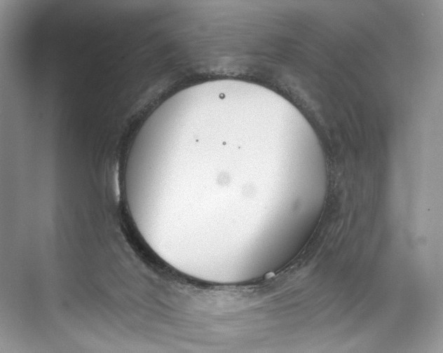 X0000073480020200608140828