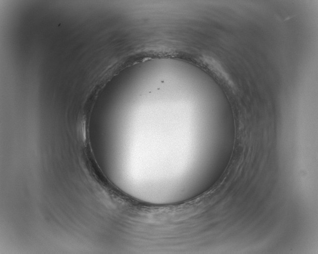 X0000073480021200608140828