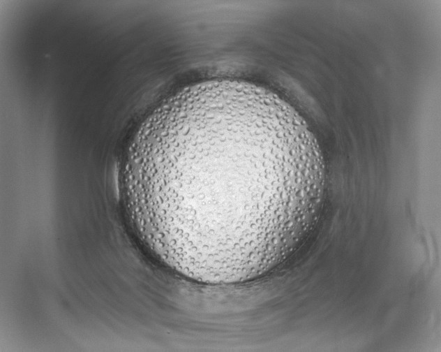 X0000073480022200608140828