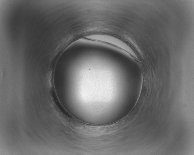 X0000073480023200608140828