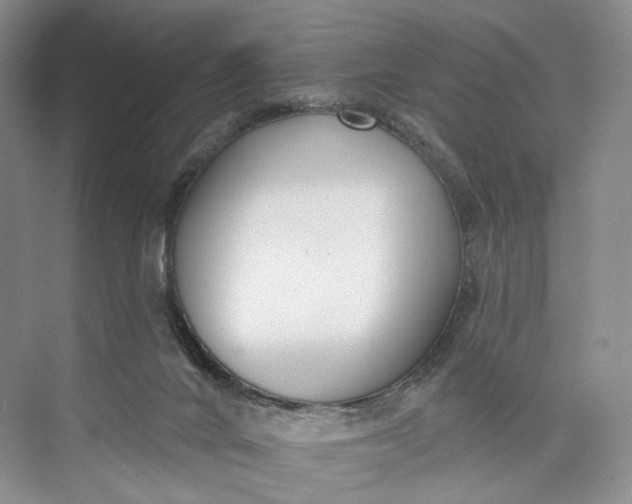 X0000073480024200608140828