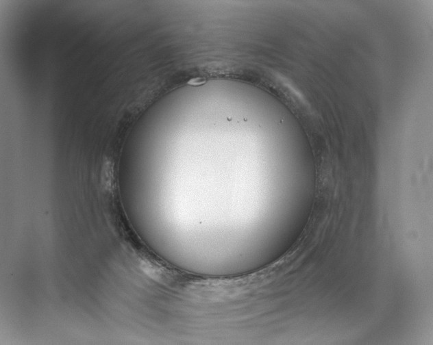 X0000073480025200608140828