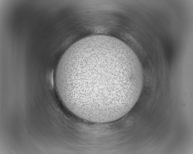 X0000073480028200608140828