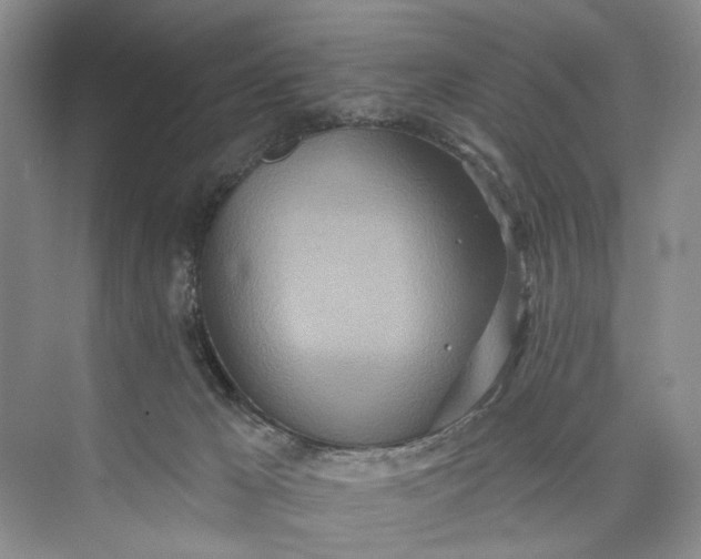 X0000073480029200608140828