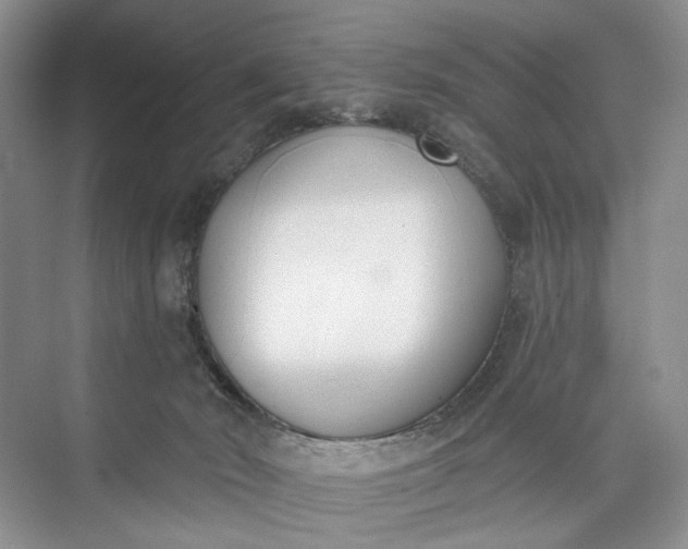 X0000073480030200608140828