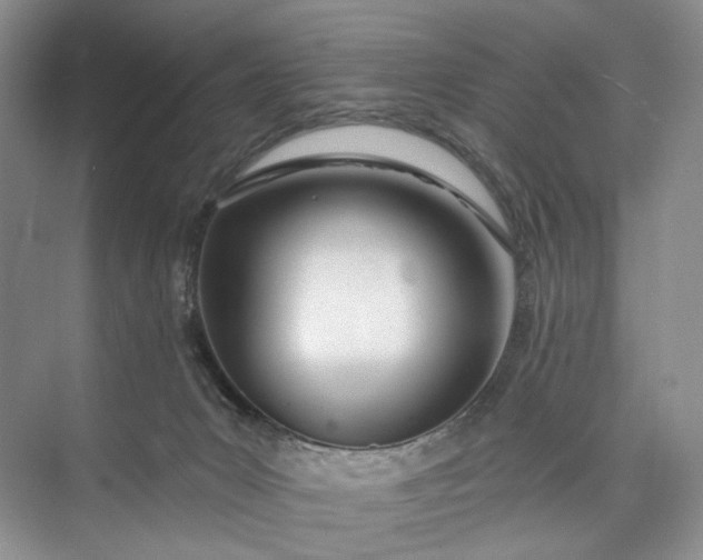 X0000073480031200608140828