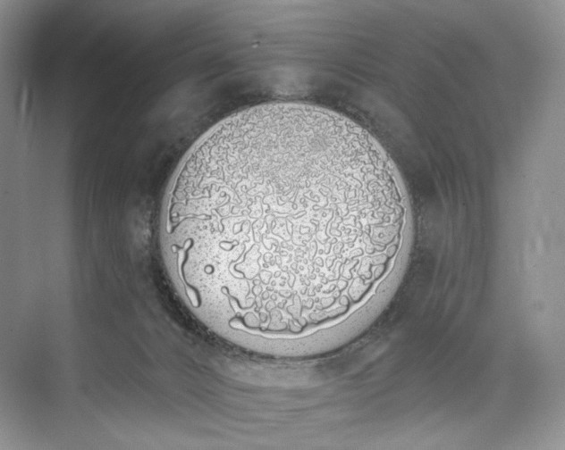 X0000073480032200608140828